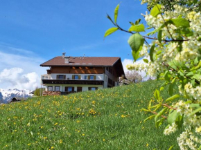 Residence Rastbichl Rio Di Pusteria